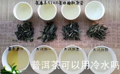 普洱茶可以用冷水吗吗/2023080731716