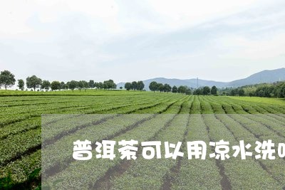 普洱茶可以用凉水洗吗/2023092836293