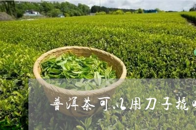 普洱茶可以用刀子撬吗/2023062142824