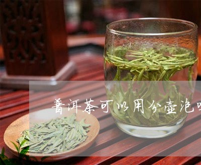 普洱茶可以用分壶泡吗/2023092797491