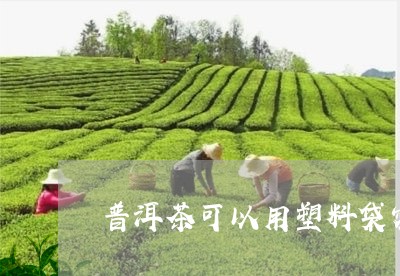 普洱茶可以用塑料袋密封保存吗/2023053048302