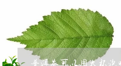 普洱茶可以用大杯泡吗/2023092724828