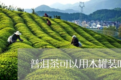 普洱茶可以用木罐装吗/2023092907472