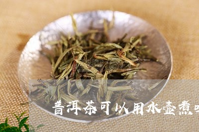 普洱茶可以用水壶煮吗/2023092840504