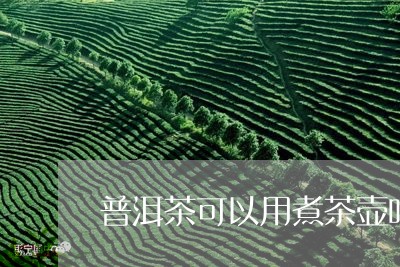 普洱茶可以用煮茶壶吗/2023072238378