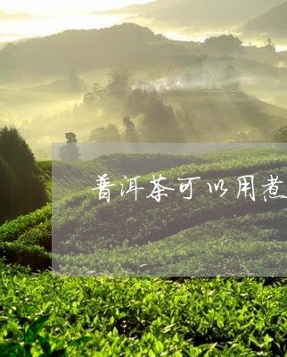 普洱茶可以用煮茶壶吗/2023092746392