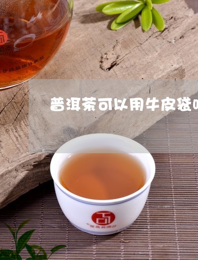 普洱茶可以用牛皮袋吗/2023092804725