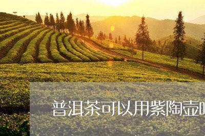 普洱茶可以用紫陶壶吗/2023092604936