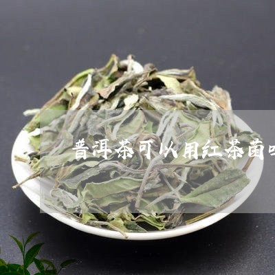 普洱茶可以用红茶菌吗/2023061581925