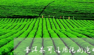 普洱茶可以用纯奶泡吗/2023092674057