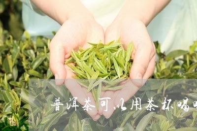 普洱茶可以用茶杯喝吗/2023062102727