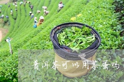 普洱茶可以用茶蛋吗/2023042827362