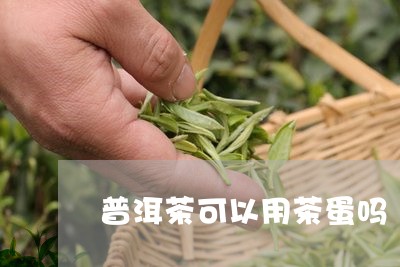 普洱茶可以用茶蛋吗/2023042869672