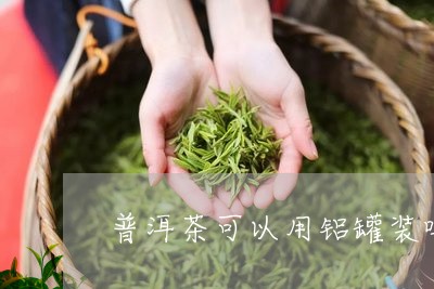 普洱茶可以用铝罐装吗/2023061571594