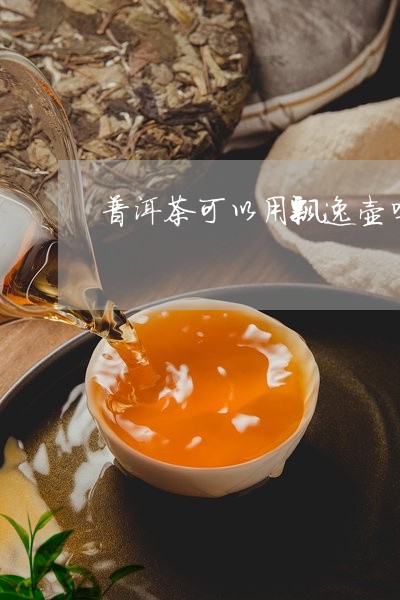 普洱茶可以用飘逸壶吗/2023092848262