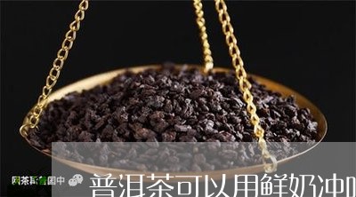 普洱茶可以用鲜奶冲吗/2023092696509