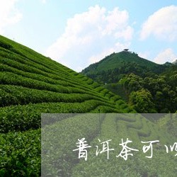 普洱茶可以直接干吃吗/2023062322715