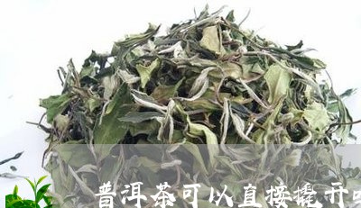 普洱茶可以直接撬开吗/2023080137158