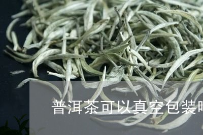 普洱茶可以真空包装吧/2023092783949