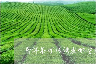 普洱茶可以诱发哪些病/2023100537261