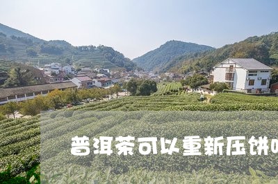 普洱茶可以重新压饼吗/2023062329503