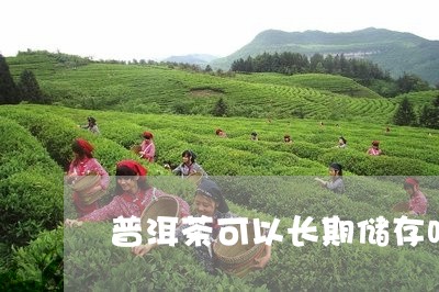 普洱茶可以长期储存吗/2023100550681