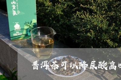 普洱茶可以降尿酸高吗/2023061783163