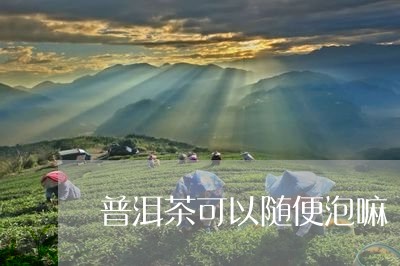 普洱茶可以随便泡嘛/2023120537371