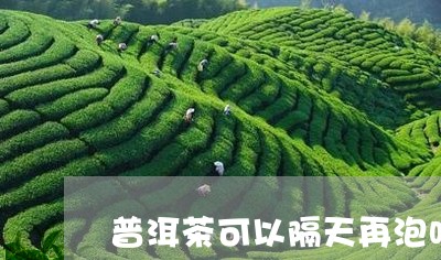 普洱茶可以隔天再泡吗/2023092923817