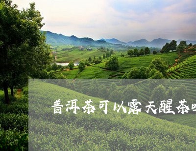 普洱茶可以露天醒茶吗/2023100852825