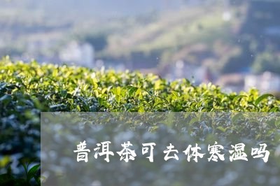 普洱茶可去体寒湿吗/2023120537150