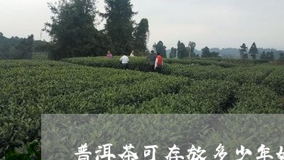 普洱茶可存放多少年好呢/2023120776147