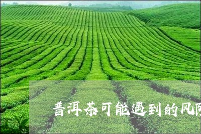 普洱茶可能遇到的风险/2023080211682