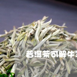 普洱茶可解牛羊肉之毒/2023092616261