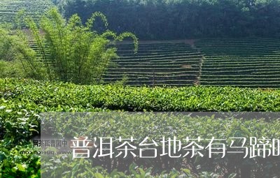 普洱茶台地茶有马蹄吗/2023080247391