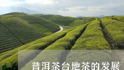 普洱茶台地茶的发展/2023091595269