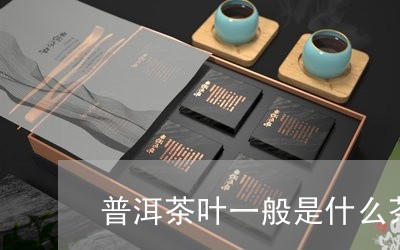 普洱茶叶一般是什么茶/2023072227240