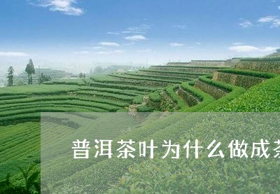 普洱茶叶为什么做成茶饼/2023082409503