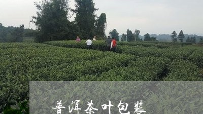 普洱茶叶包装/2023090614046