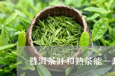 普洱茶叶和熟茶能一起泡吗/2023051147140