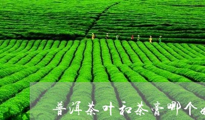 普洱茶叶和茶膏哪个好/2023061837237