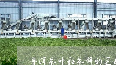 普洱茶叶和茶饼的区别/2023092819493