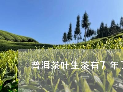 普洱茶叶生茶有7年了/2023092782026