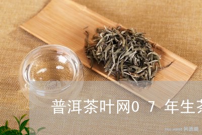 普洱茶叶网07年生茶/2023061527270