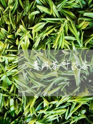 普洱茶叶茯茶/2023042688009