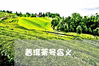 普洱茶号含义/2023042655821