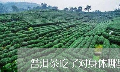 普洱茶吃了对身体哪里/2023080353726