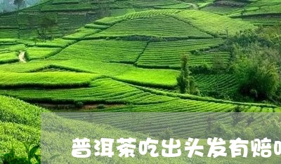 普洱茶吃出头发有赔吗/2023093064614