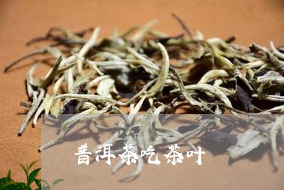 普洱茶吃茶叶/2023042633292