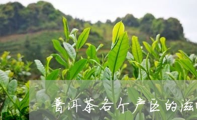 普洱茶各个产区的滋味/2023120619474